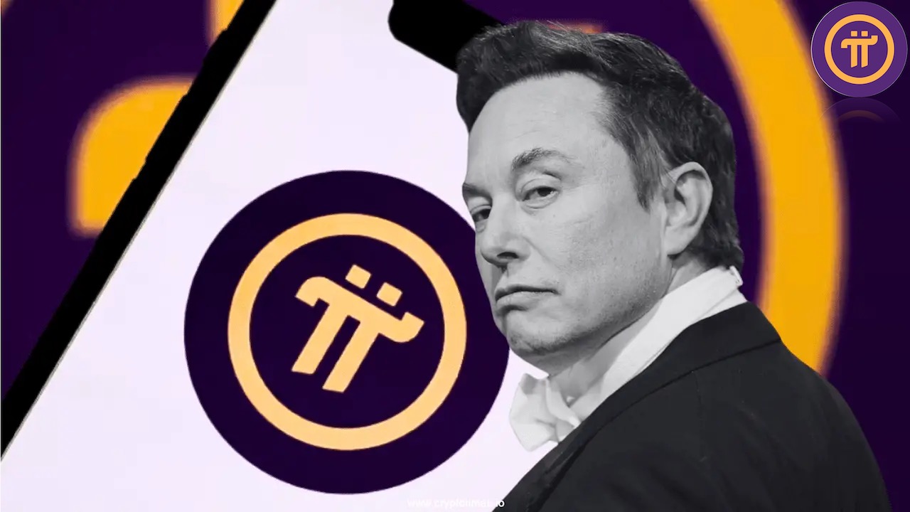 Elon Musk's throne is 